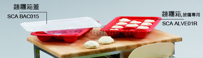 sca alve01_03sb.jpg (650×188)