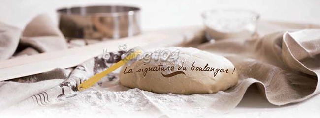 sca gr1067s_02sb.jpg (650×241)